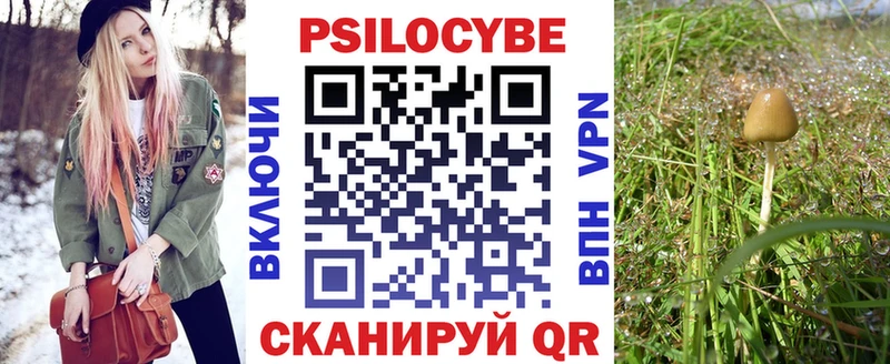 Псилоцибиновые грибы Psilocybine cubensis  Данков 